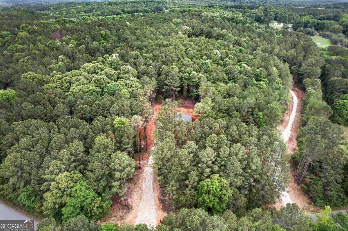 1191 Drummond Road Lindale - Photo 29