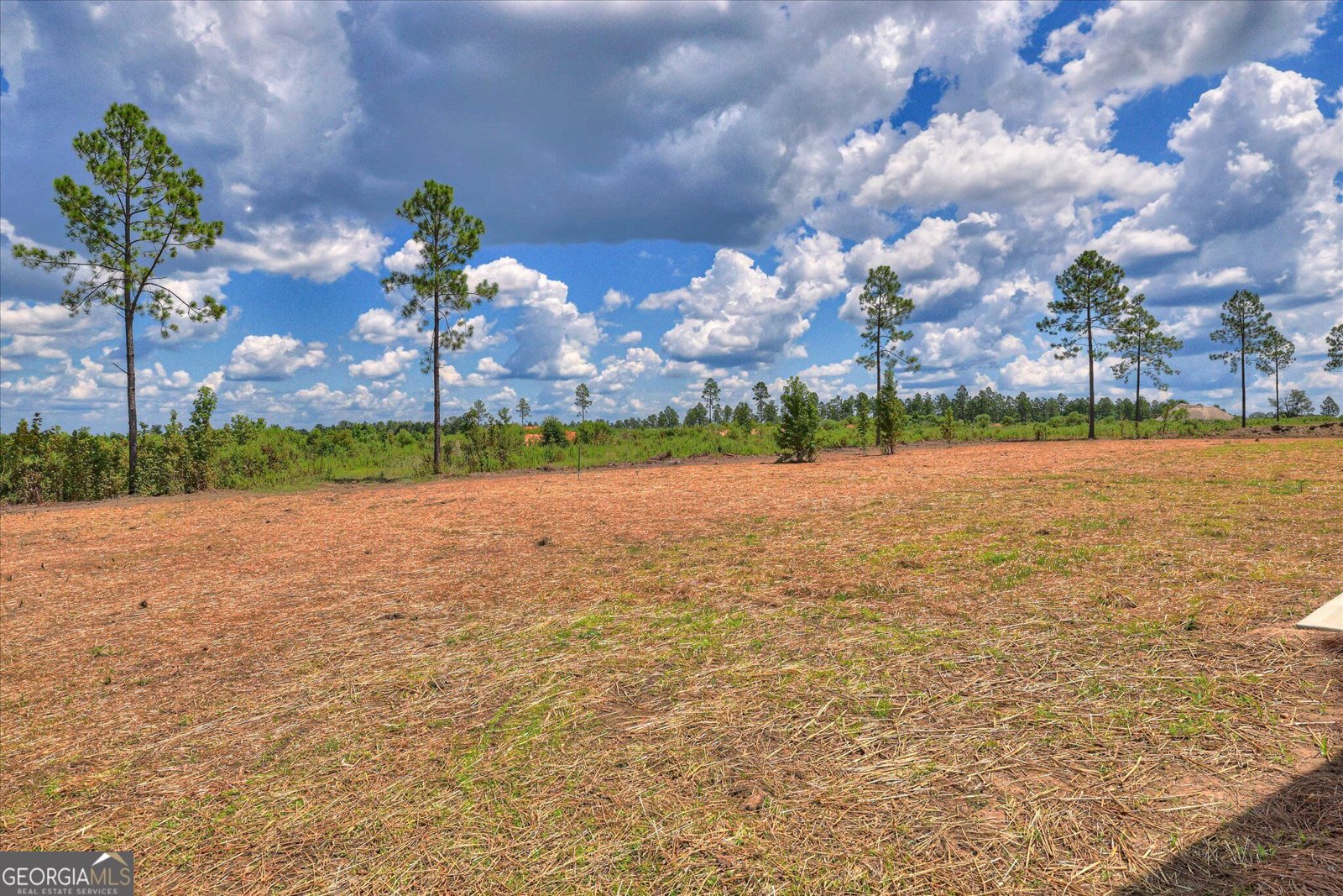 315 Livingston Bend Statesboro - Photo 52