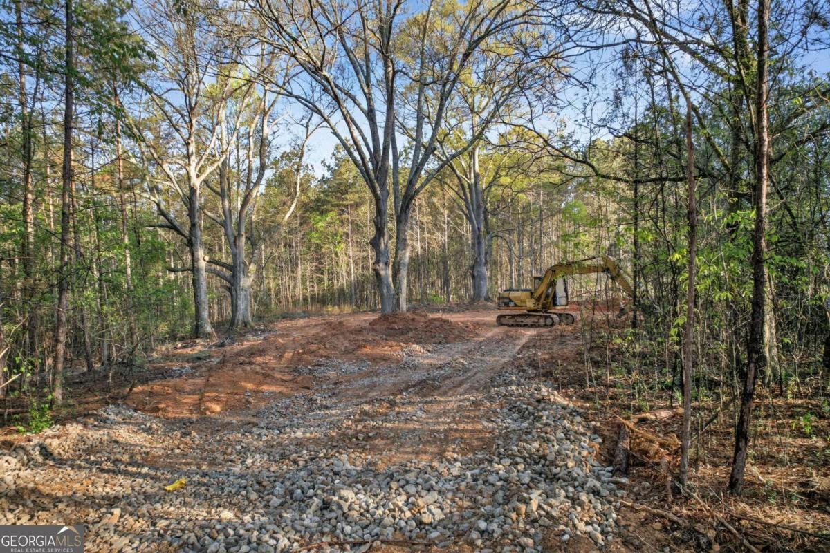 3230 Steadman Road Tallapoosa - Photo 36