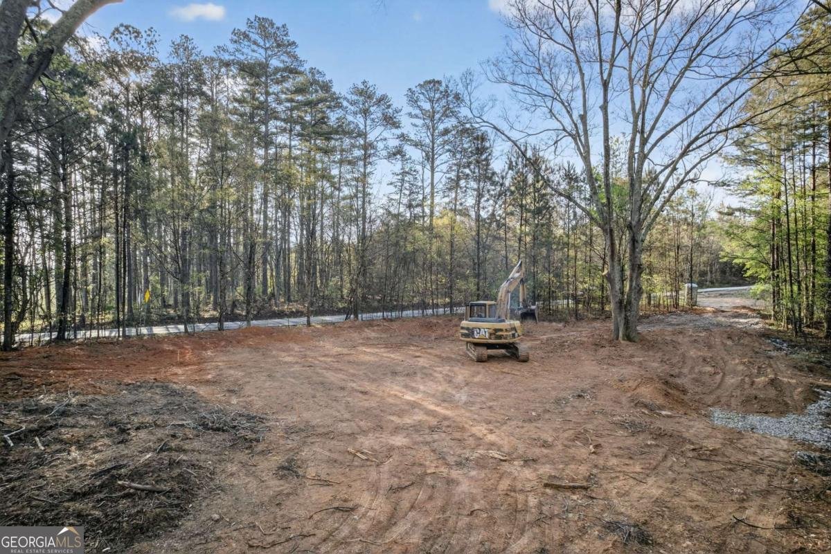 3230 Steadman Road Tallapoosa - Photo 37