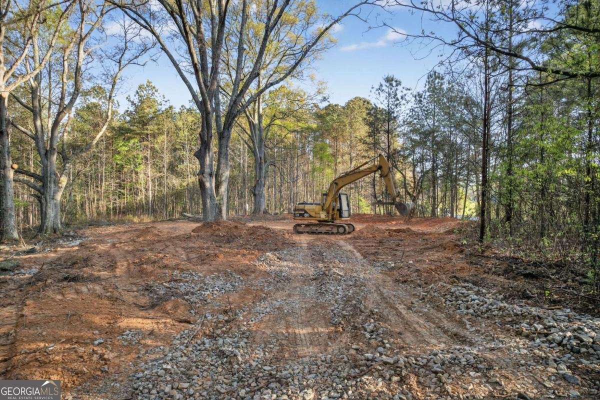 3230 Steadman Road Tallapoosa - Photo 39