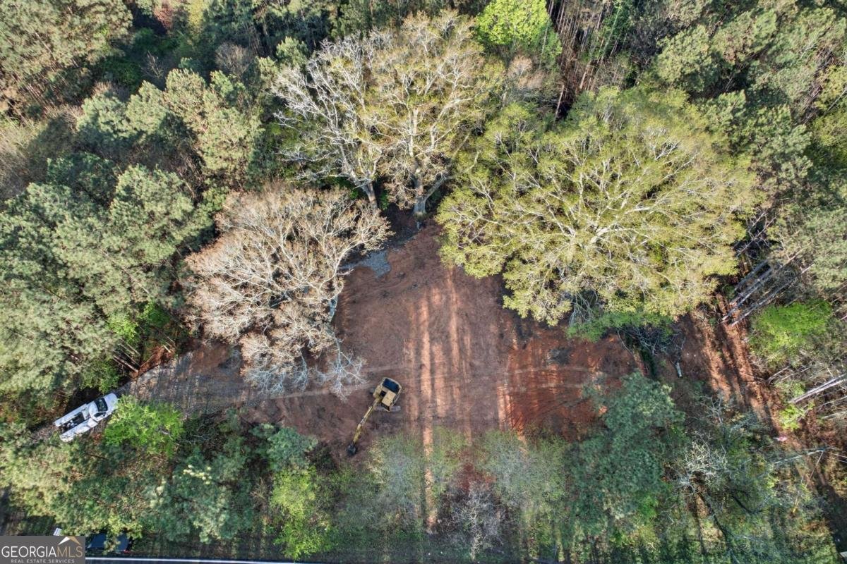 3230 Steadman Road Tallapoosa - Photo 40