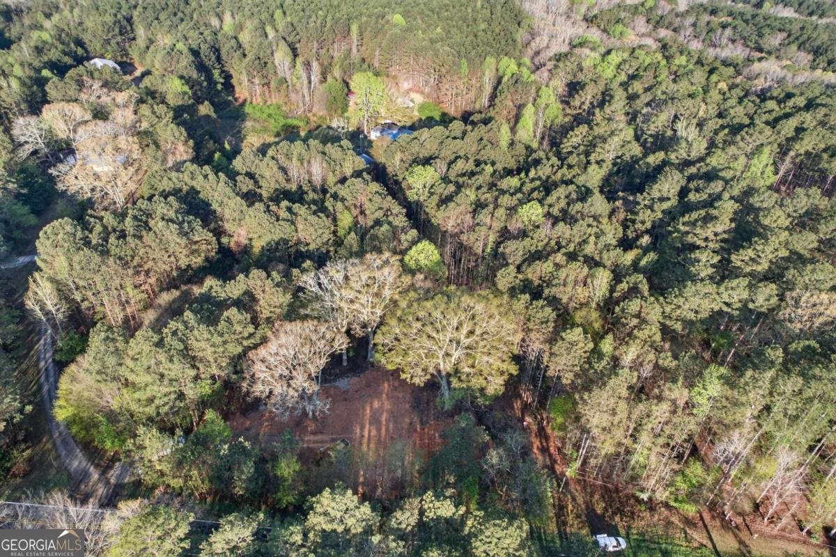 3230 Steadman Road Tallapoosa - Photo 42