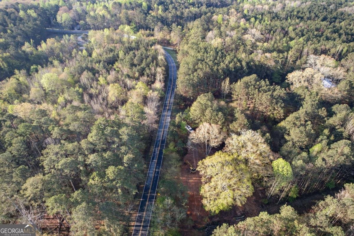 3230 Steadman Road Tallapoosa - Photo 43