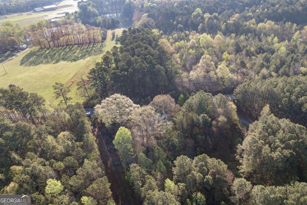 3230 Steadman Road Tallapoosa - Photo 44