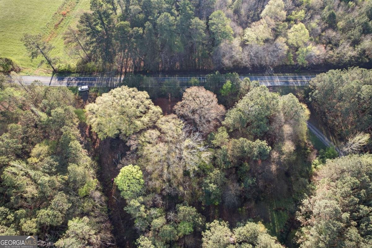 3230 Steadman Road Tallapoosa - Photo 45
