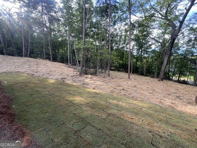 253 Fox Valley Road Clarkesville - Photo 30