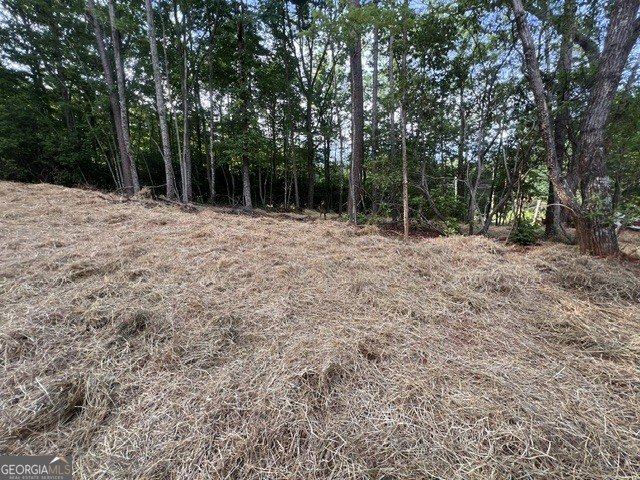 253 Fox Valley Road Clarkesville - Photo 38