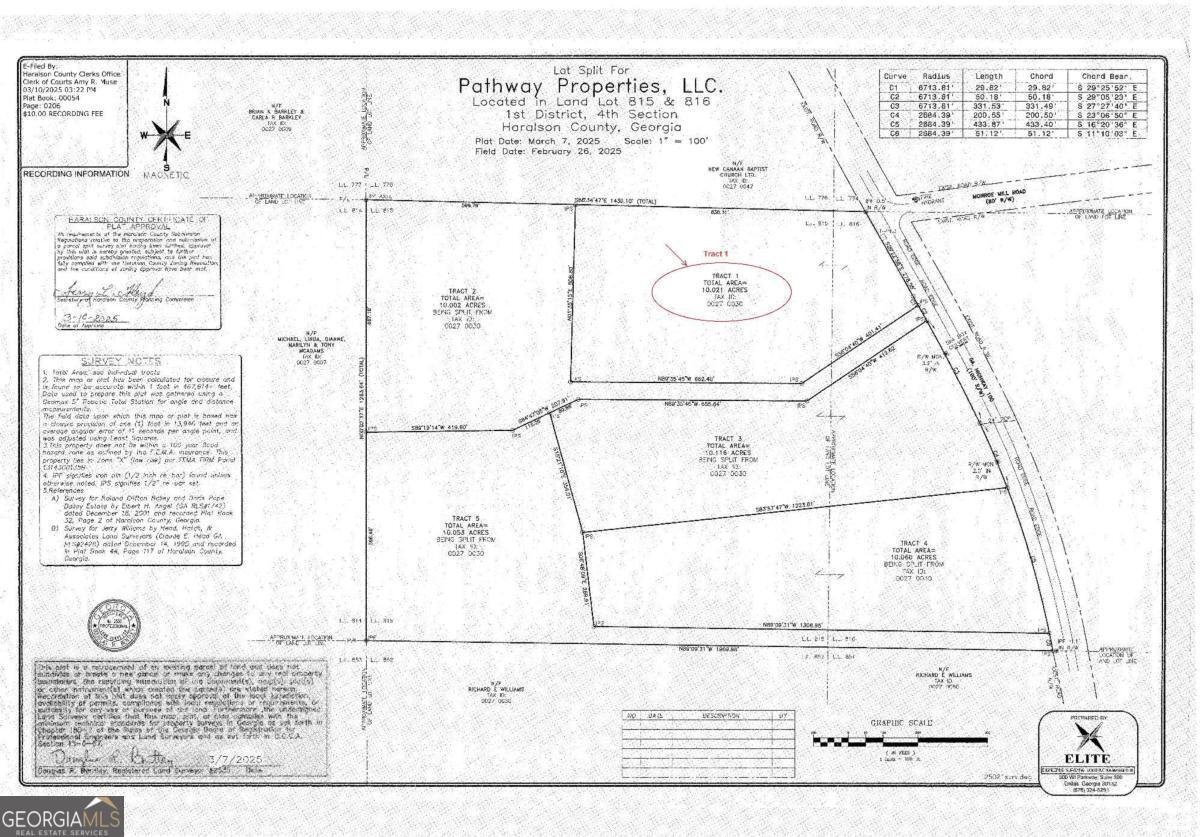 TRACT1 Georgia Highway 100 Buchanan - Photo 40