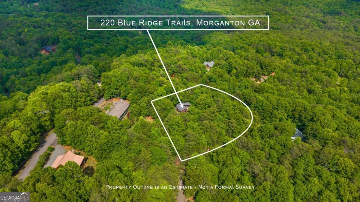220 Blue Ridge Trails Morganton - Photo 10