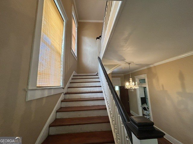 306 Ramsey Street Dublin - Photo 10