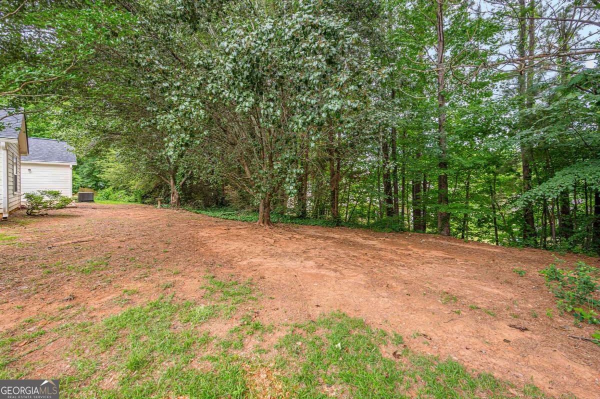 3002 Lake Park Trail Acworth - Photo 41