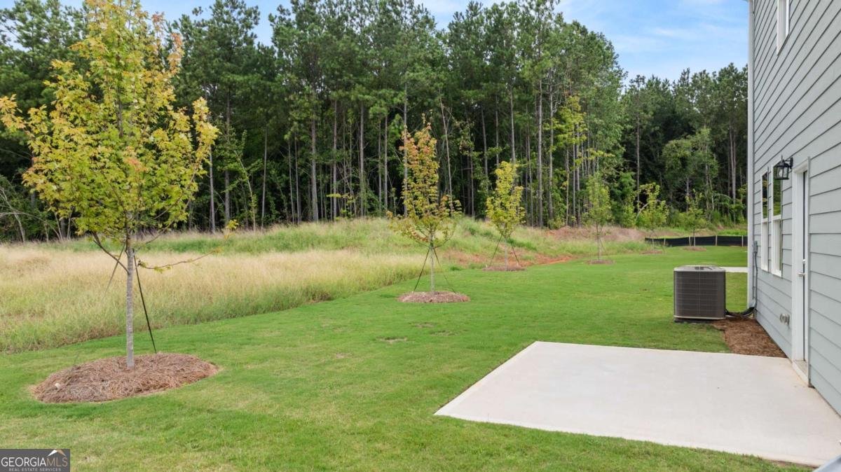 1253 Meadowbrook Drive Jonesboro - Photo 56