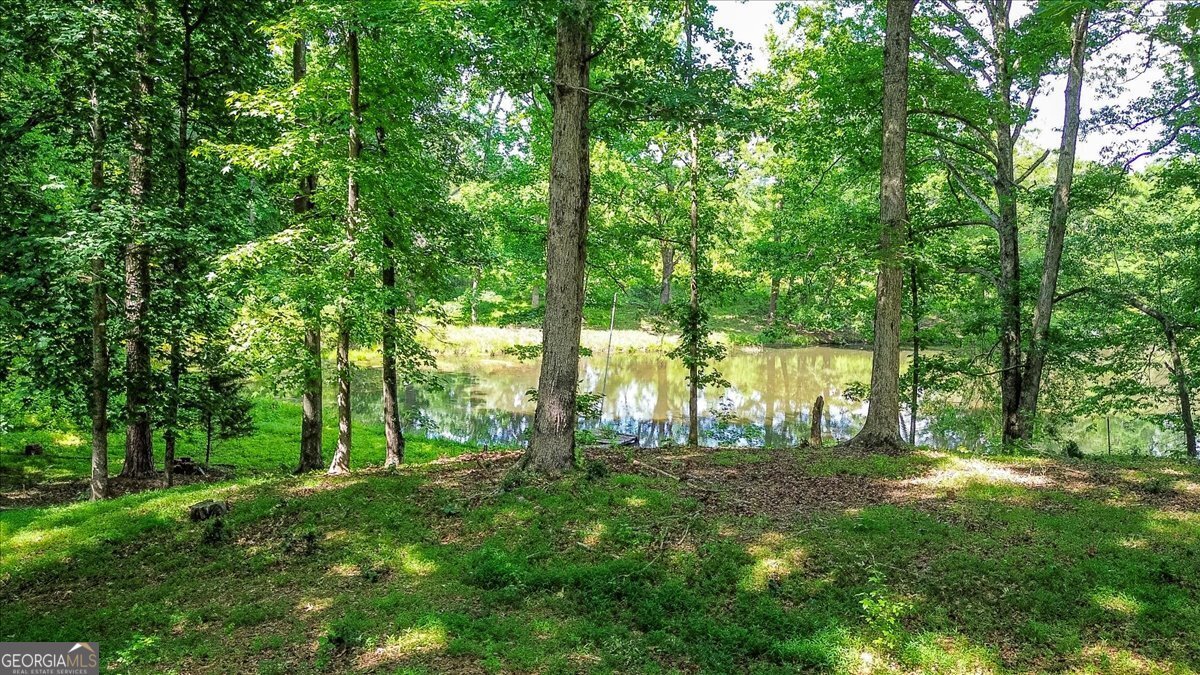 120 Hanover Drive Bogart - Photo 12