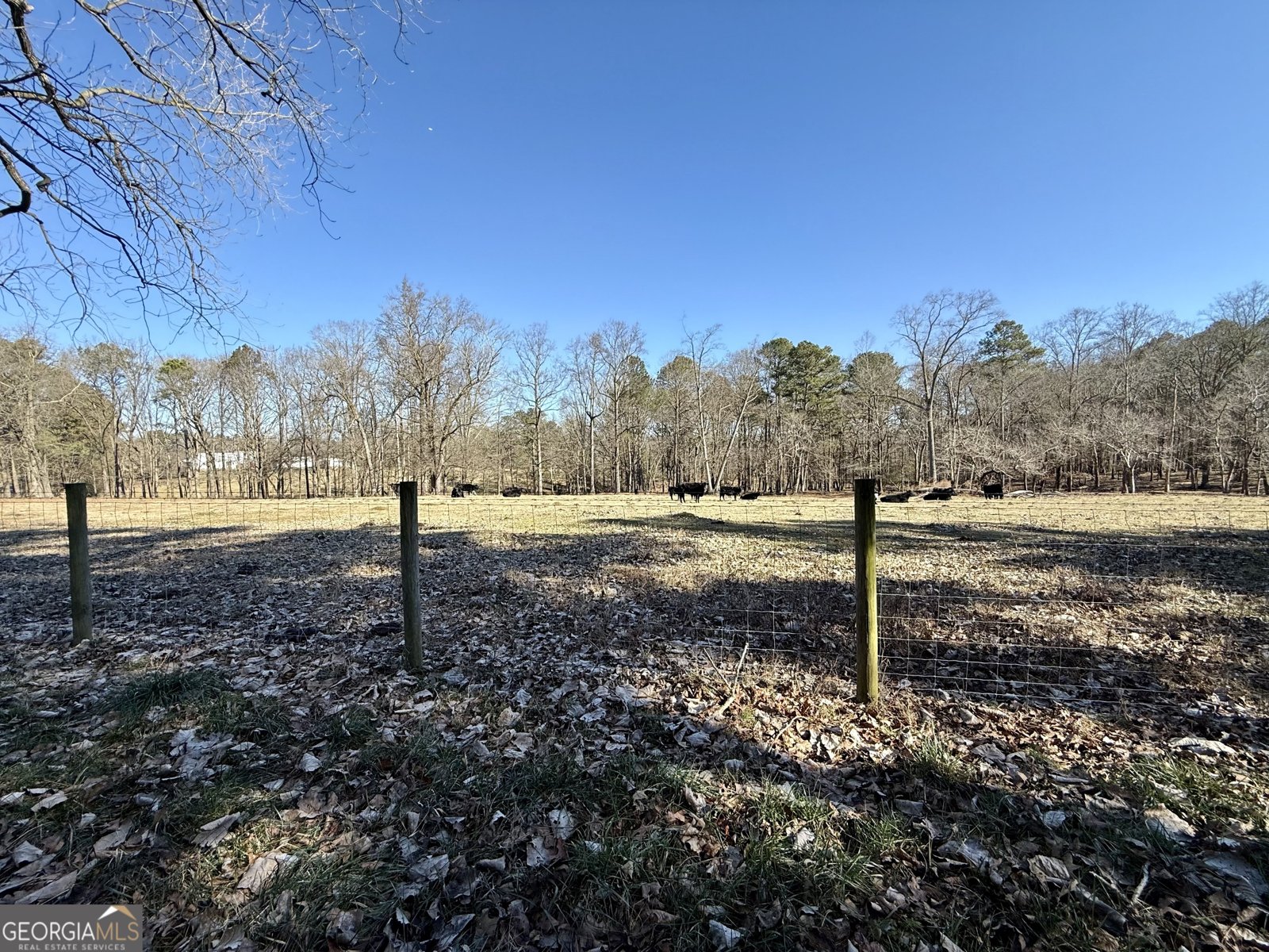 1120 Kansas-Jake Road Waco - Photo 39