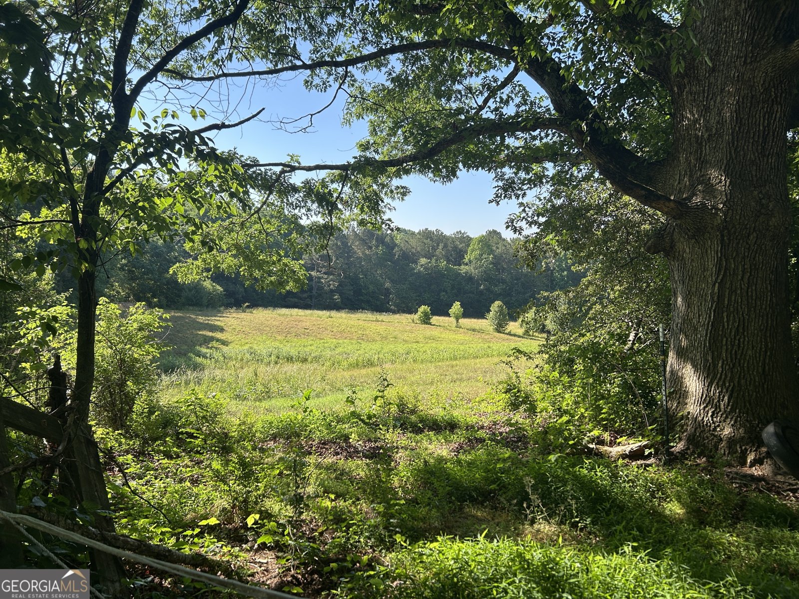 3498 Mud Creek Road Cornelia - Photo 13