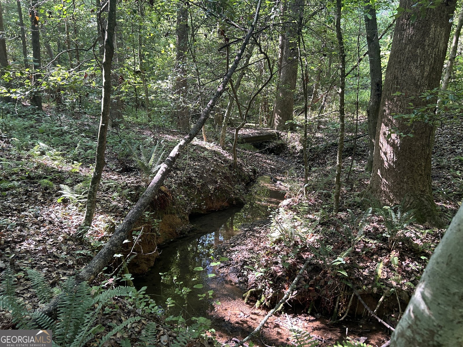 3498 Mud Creek Road Cornelia - Photo 15