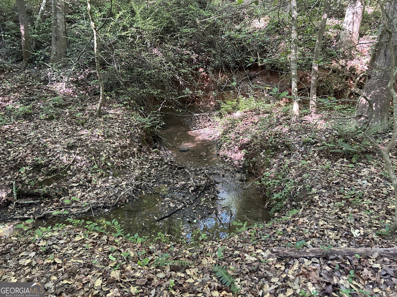 3498 Mud Creek Road Cornelia - Photo 16