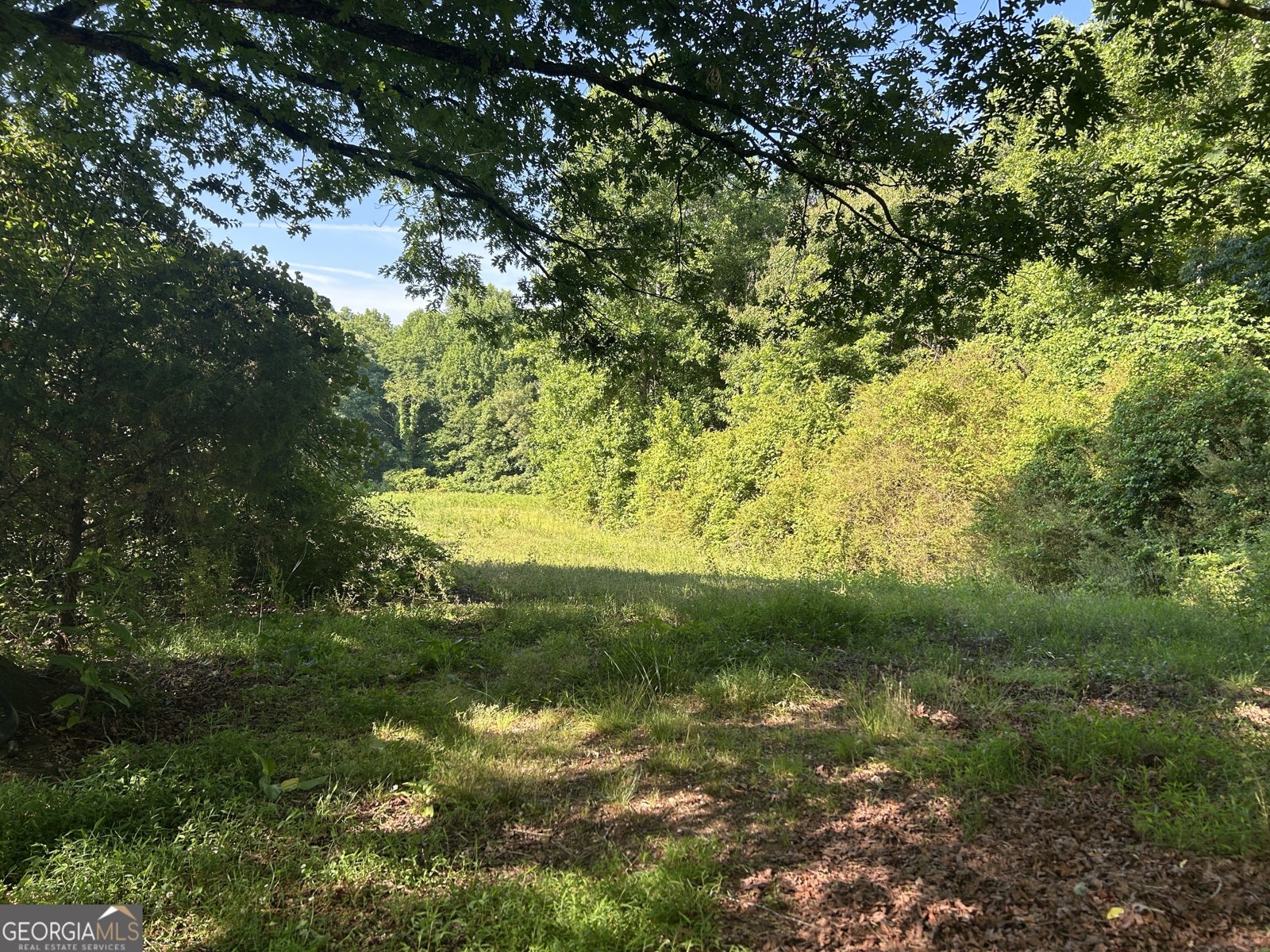 3498 Mud Creek Road Cornelia - Photo 17
