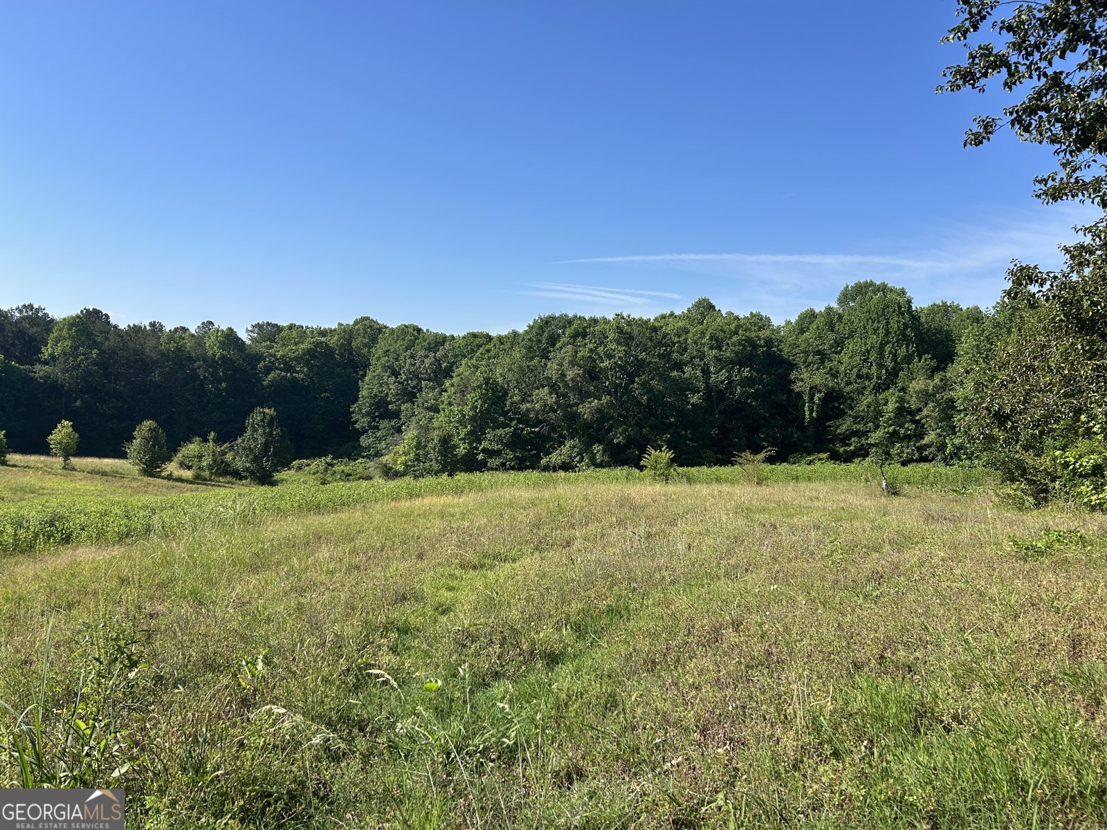3498 Mud Creek Road Cornelia - Photo 18