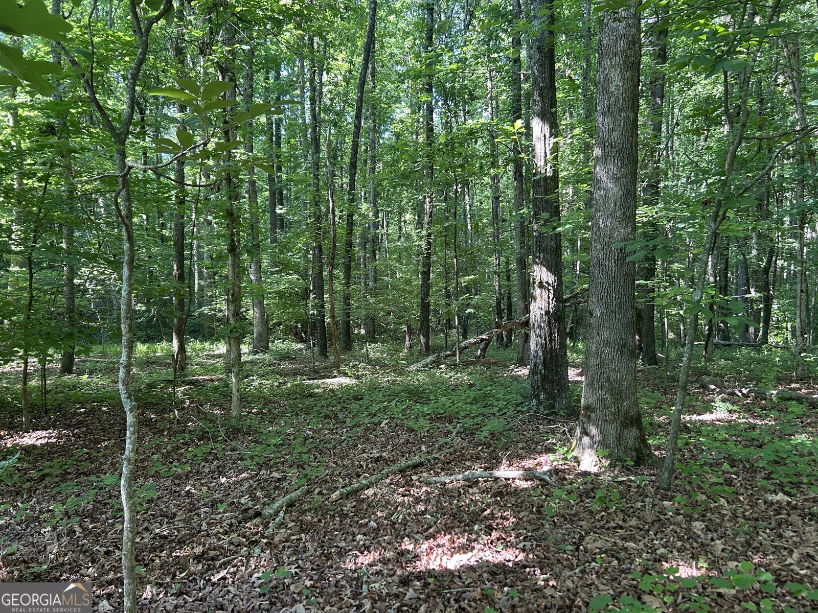3498 Mud Creek Road Cornelia - Photo 20