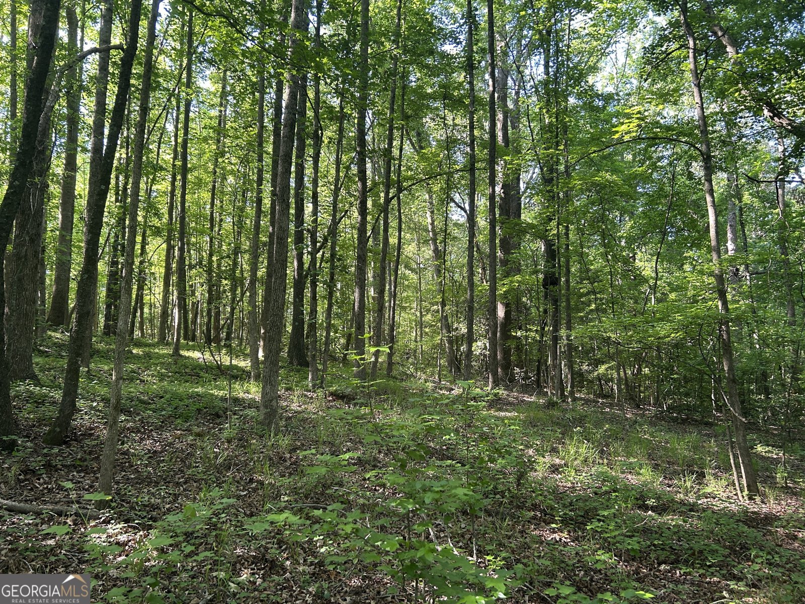 3498 Mud Creek Road Cornelia - Photo 21