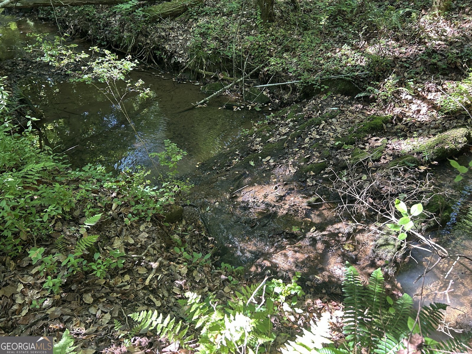 3498 Mud Creek Road Cornelia - Photo 23