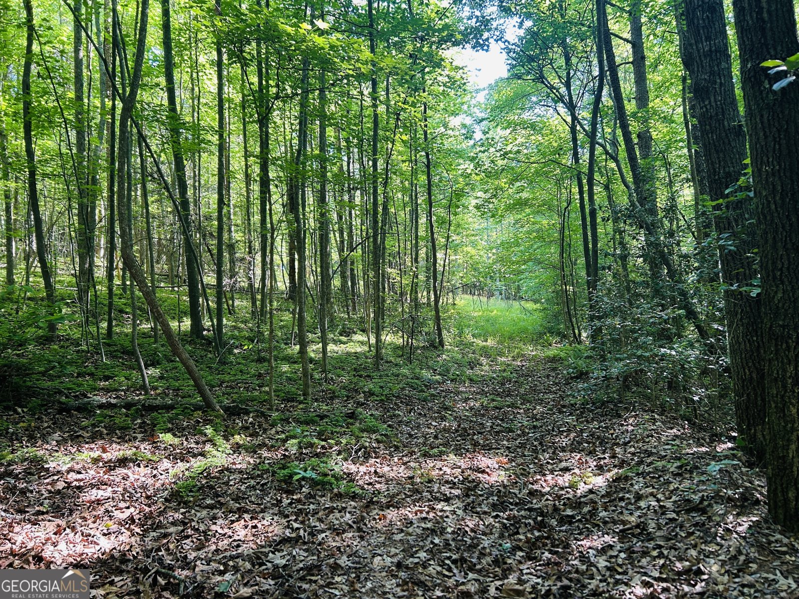 3498 Mud Creek Road Cornelia - Photo 24