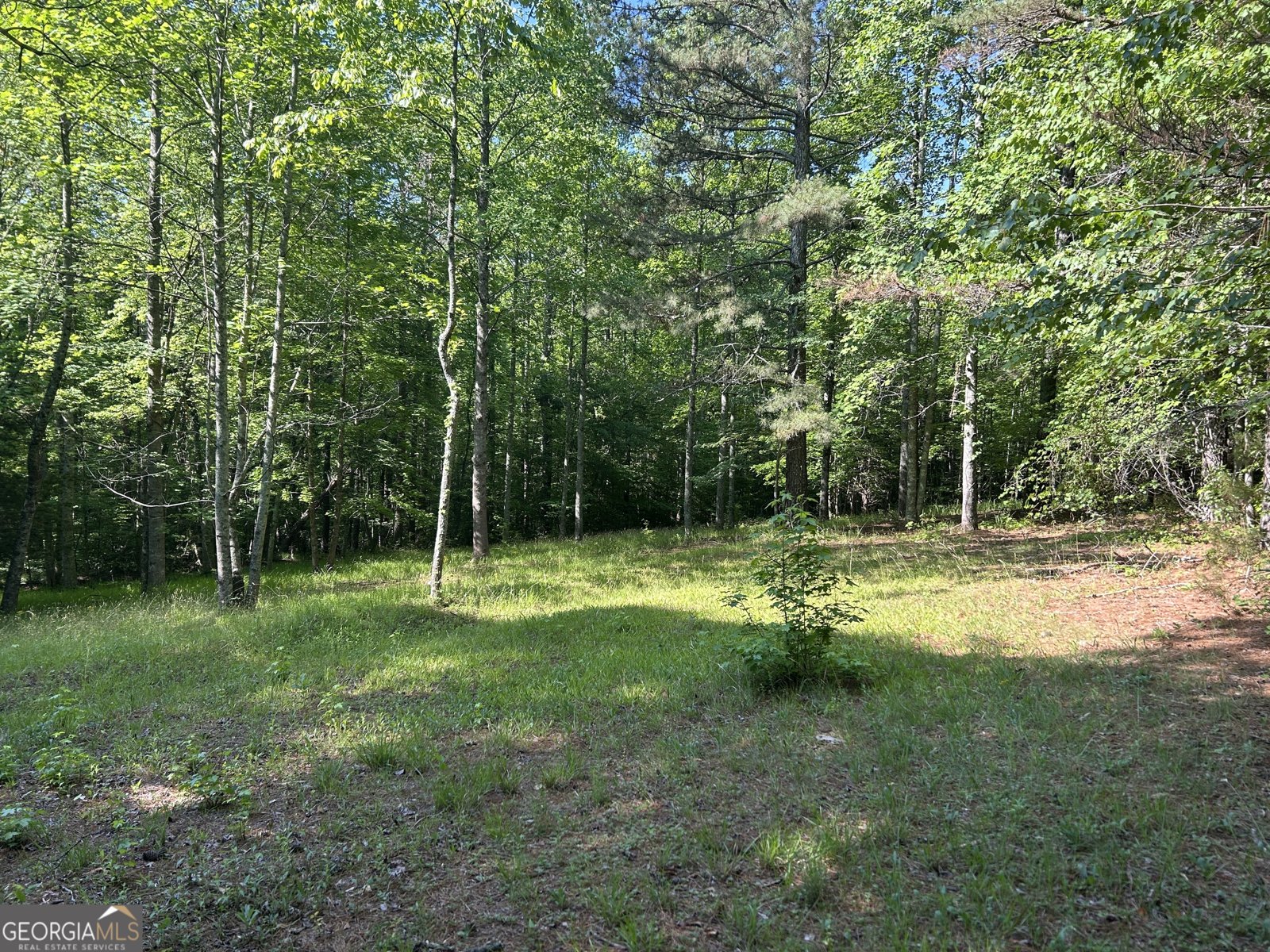 3498 Mud Creek Road Cornelia - Photo 25