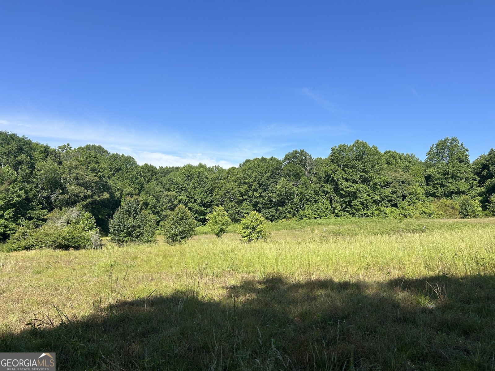 3498 Mud Creek Road Cornelia - Photo 28