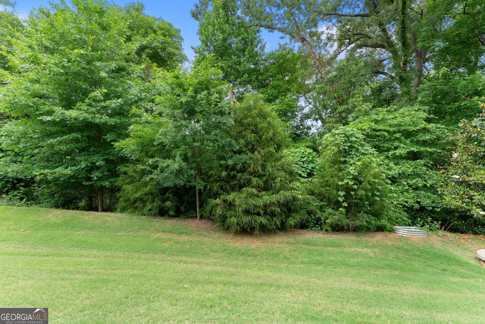 307 Hudson Chase Court Gainesville - Photo 59