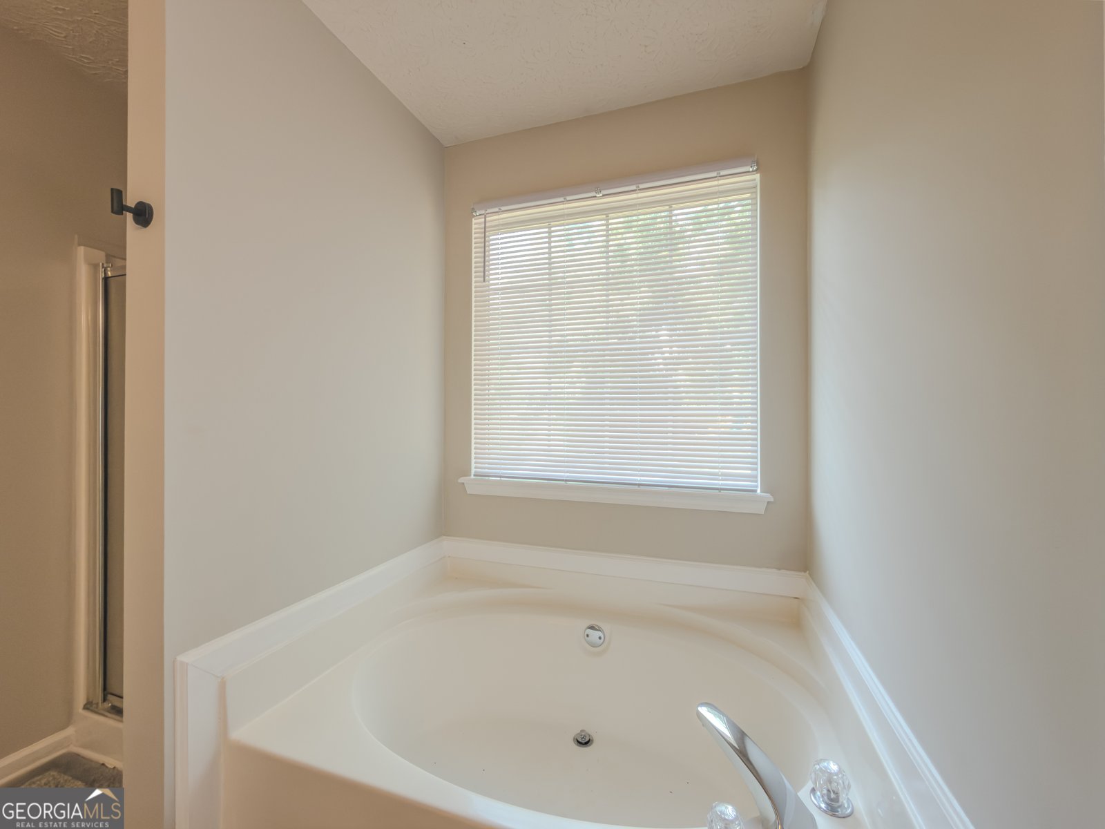 2990 Hampton Valley Drive Loganville - Photo 21
