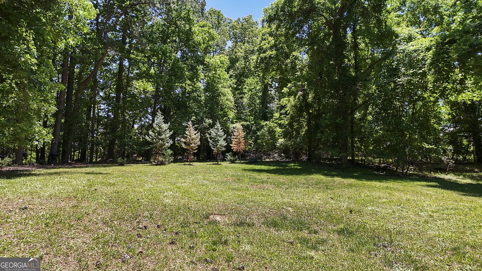 115 Scenic Pass Fayetteville - Photo 6