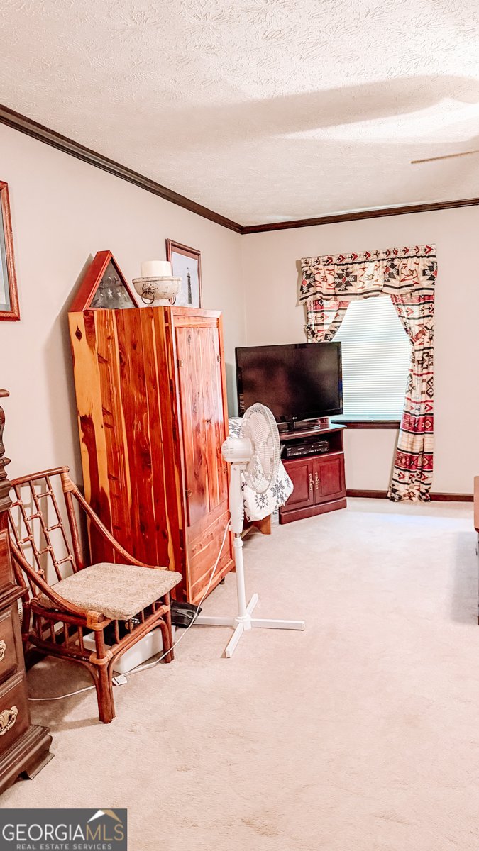 1531 Ethridge Mill Road Griffin - Photo 10