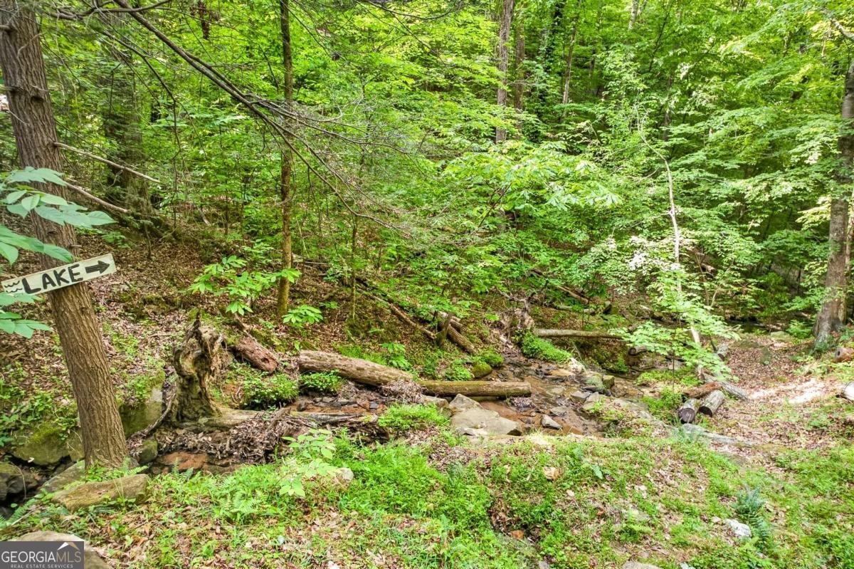 285 Julep Circle Ellijay - Photo 44