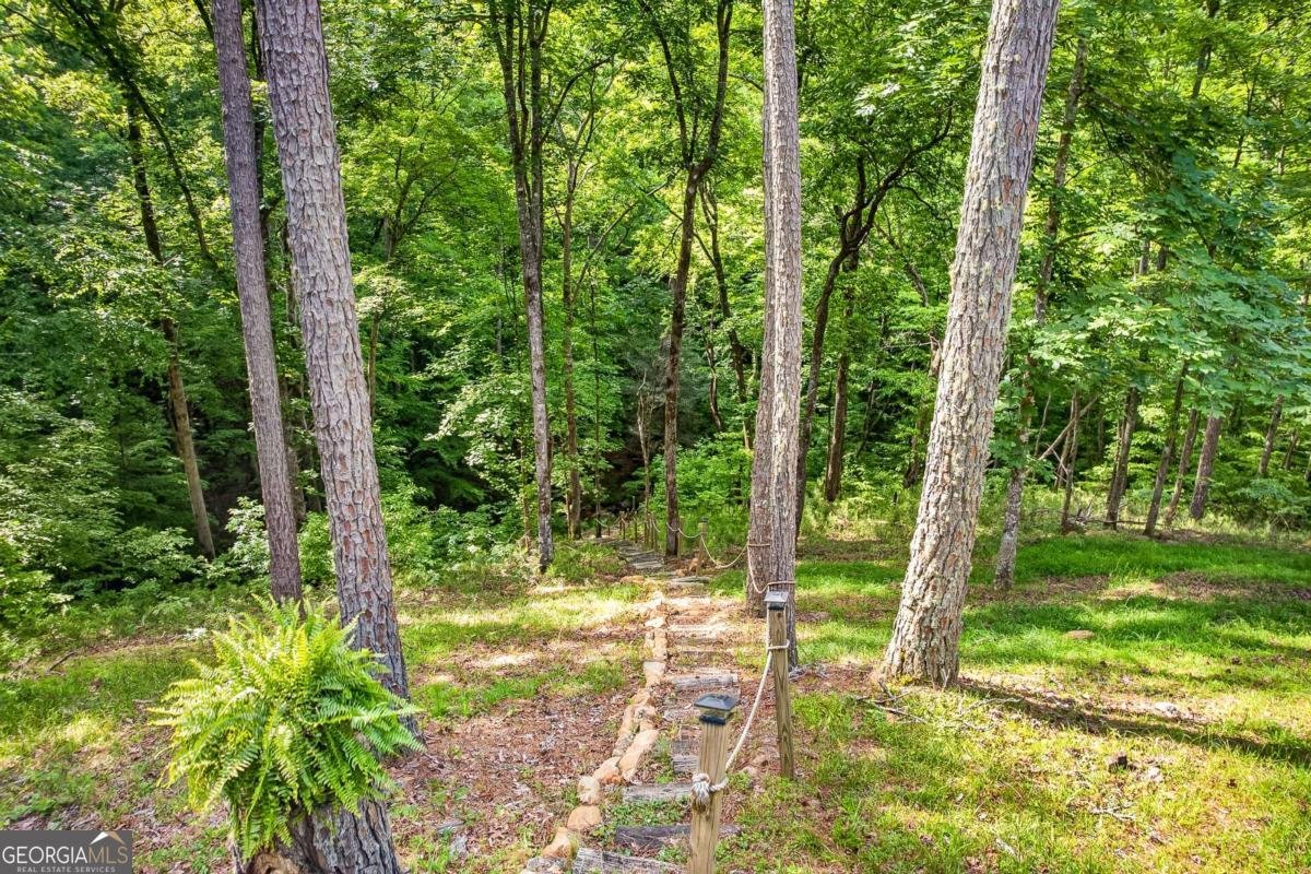 285 Julep Circle Ellijay - Photo 45