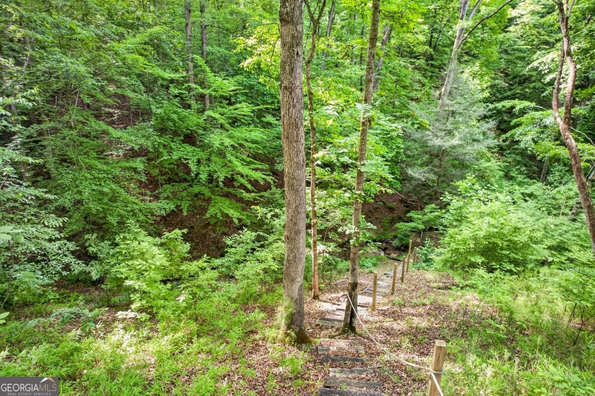 285 Julep Circle Ellijay - Photo 46