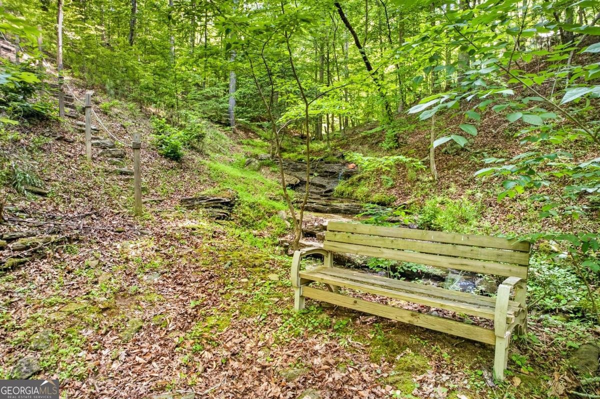 285 Julep Circle Ellijay - Photo 47