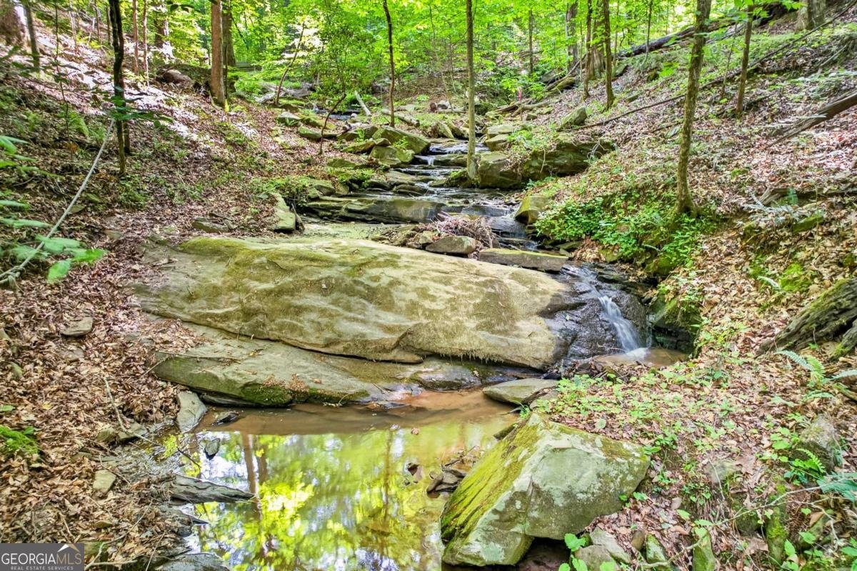 285 Julep Circle Ellijay - Photo 48