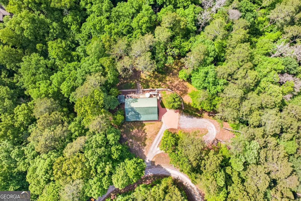 285 Julep Circle Ellijay - Photo 51
