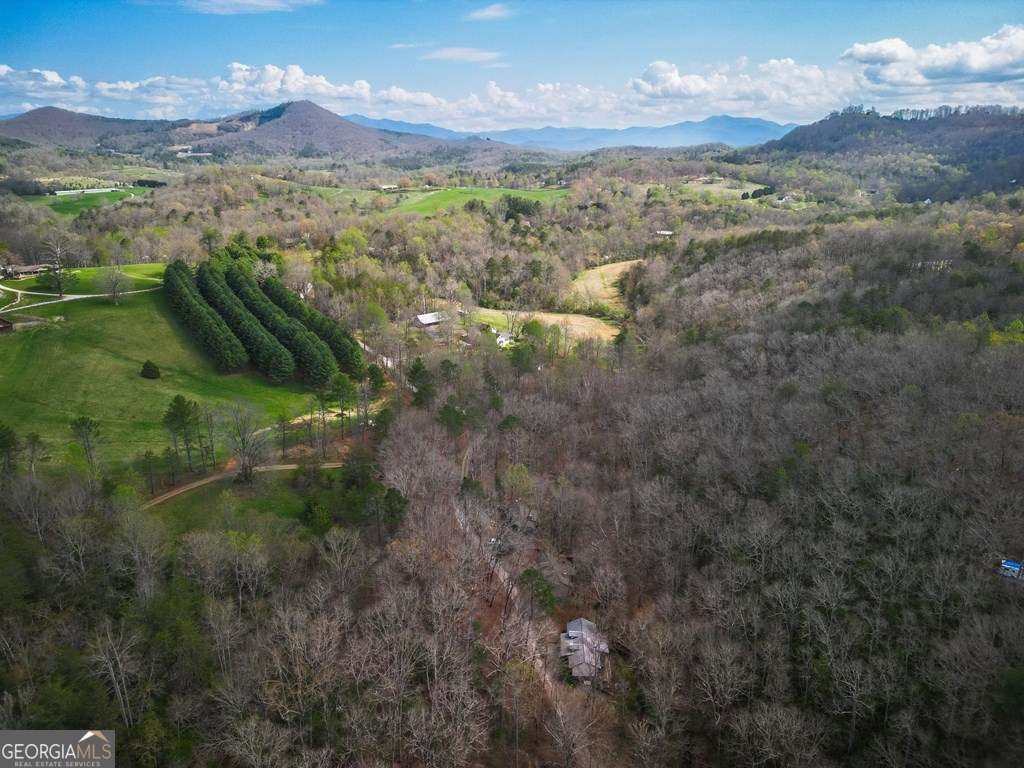 1396 Cherokee Trail Young Harris - Photo 33
