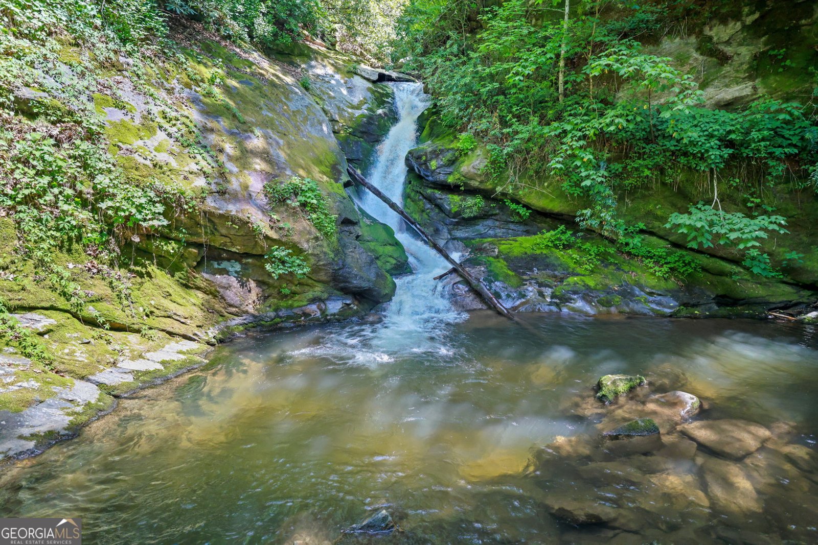 544 Darnell Creek Road Rabun Gap - Photo 6