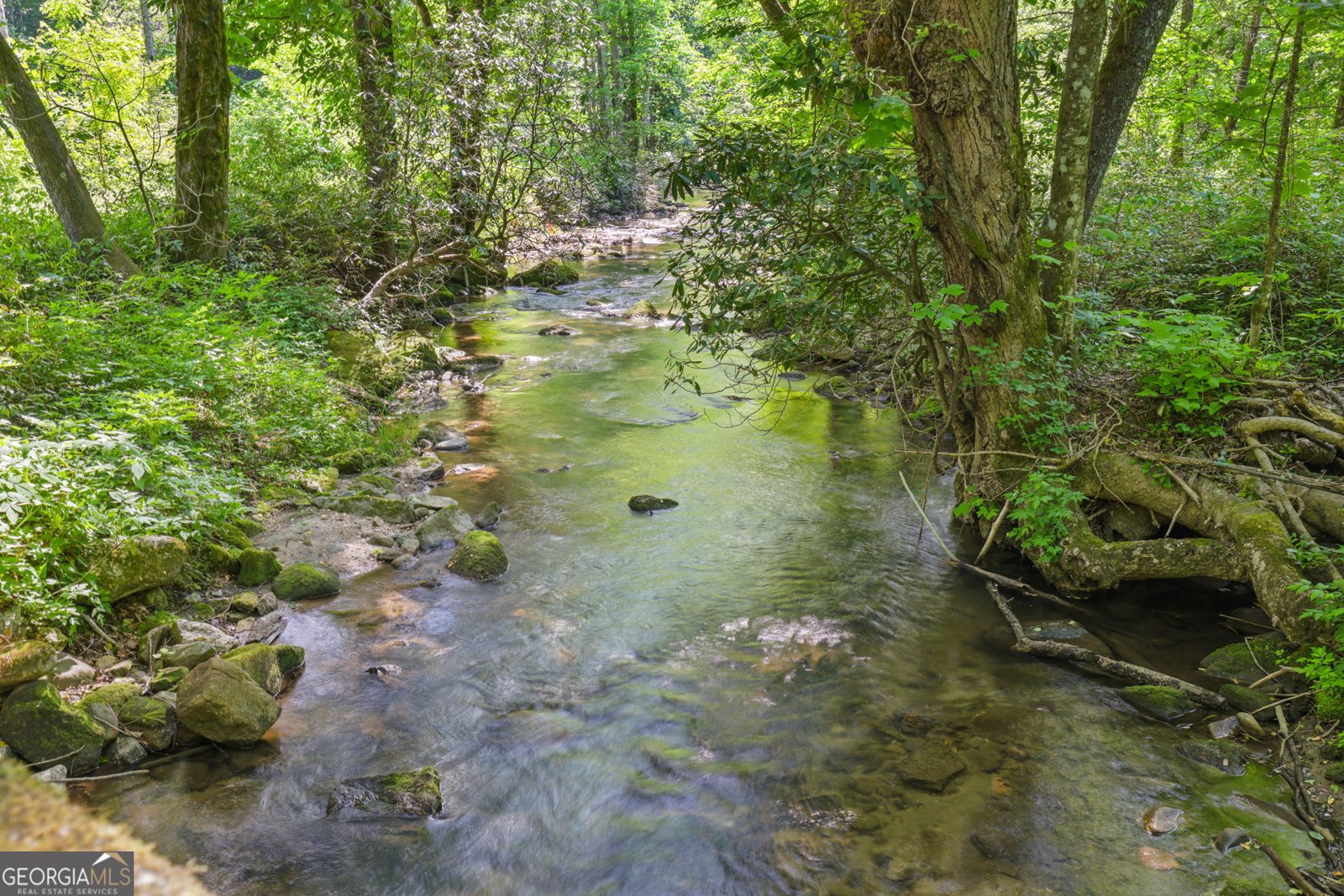 544 Darnell Creek Road Rabun Gap - Photo 89