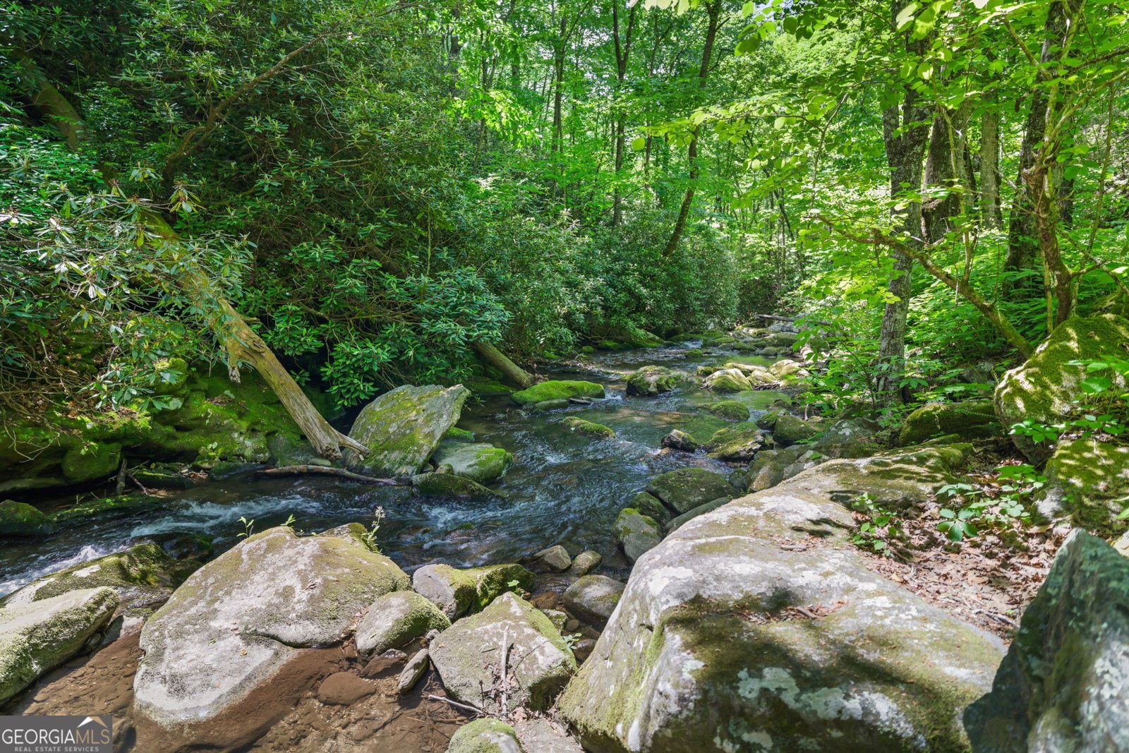 544 Darnell Creek Road Rabun Gap - Photo 93
