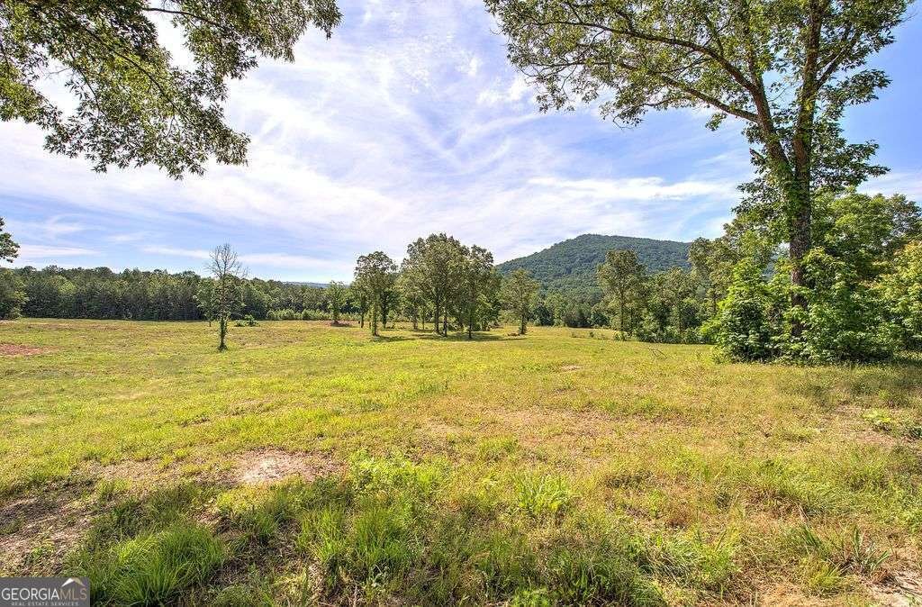 1084 Shahan Lane La Fayette - Photo 41