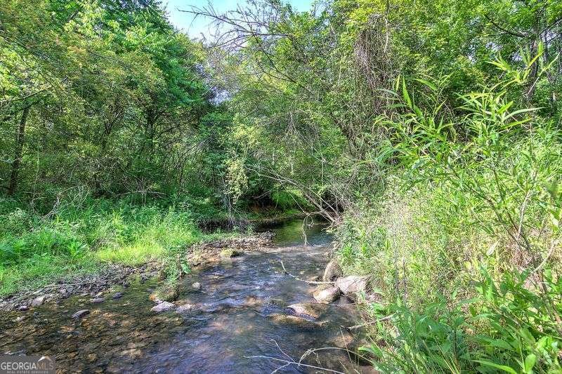 1084 Shahan Lane La Fayette - Photo 49