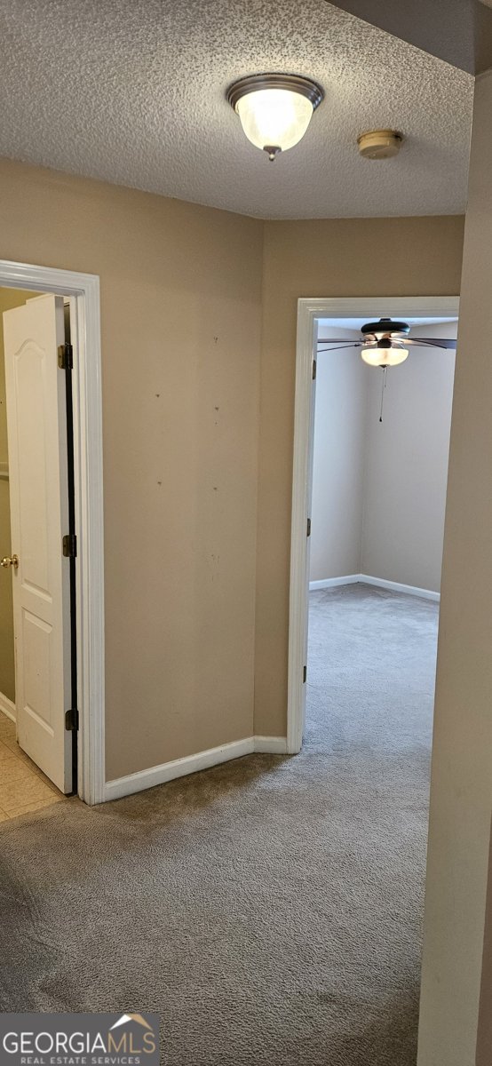 3008 Lincoln Log Way McDonough - Photo 13