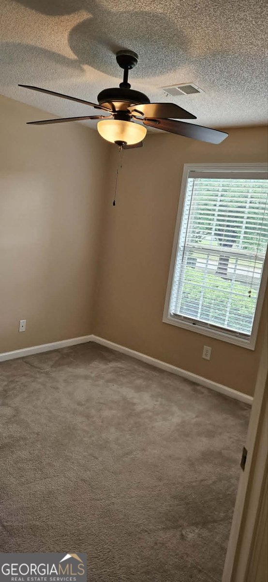 3008 Lincoln Log Way McDonough - Photo 17