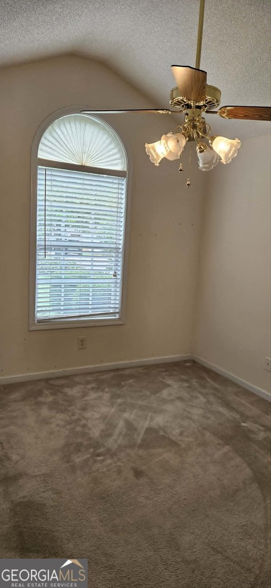 3008 Lincoln Log Way McDonough - Photo 18