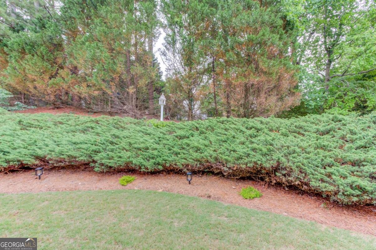 2767 Bearcreek Place Buford - Photo 38